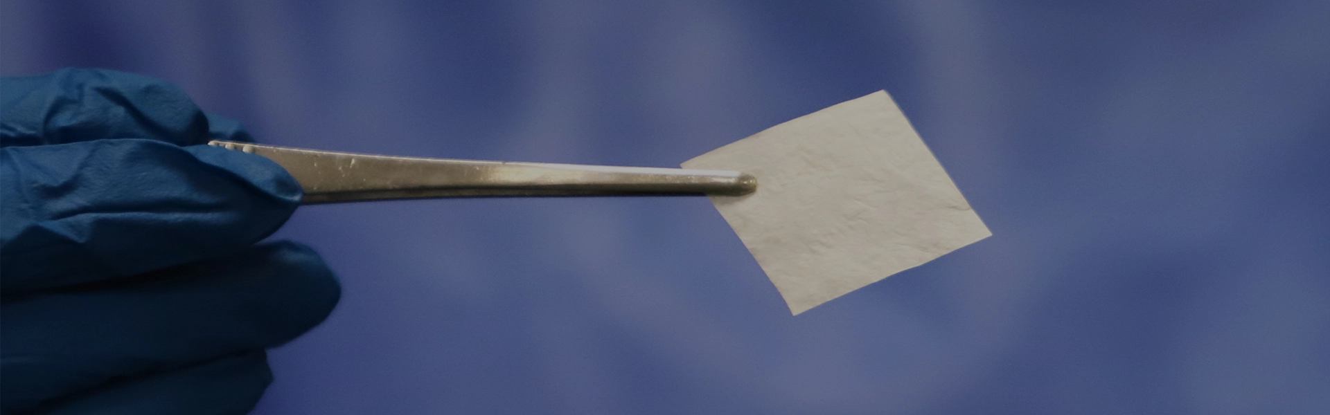 Paten penyembuhan Biosis