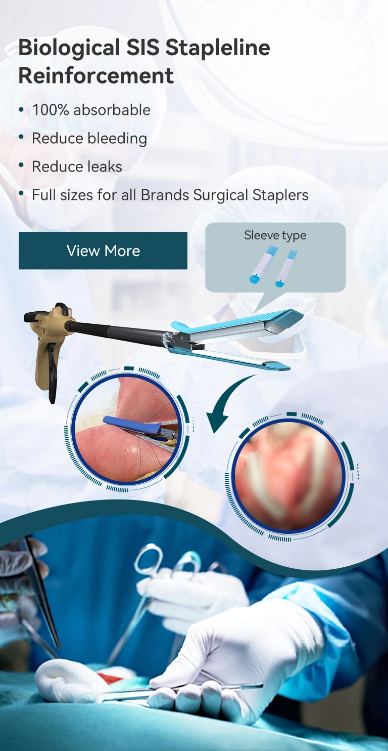 Penguatan Stapleline biologi SIS