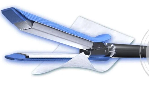 Interpretasi | Konsultan ahli untuk strategi manajemen untuk kebocoran udara jantung beracun selama operasi thoracic perioperatif dan manfaat klinis porcine porcine usus kecil submukosa (SIS)