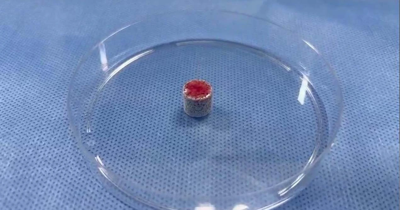 Bahan Grafting tulang